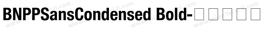 BNPPSansCondensed Bold字体转换